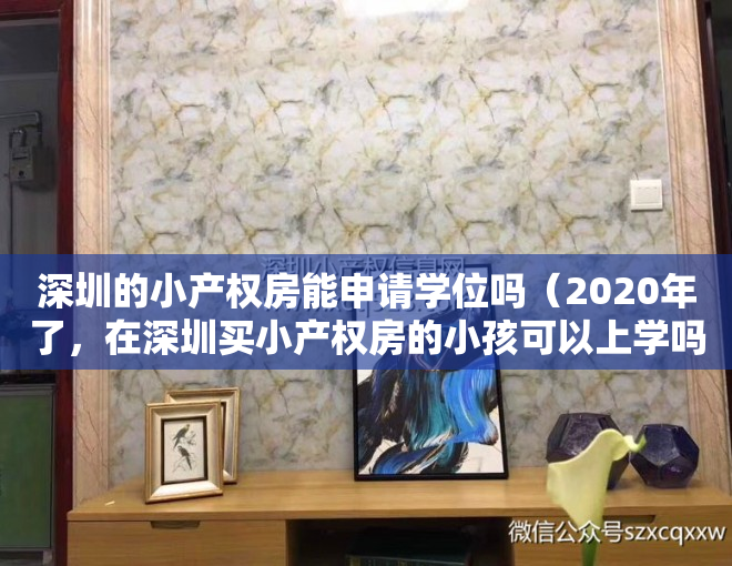 深圳的小产权房能申请学位吗（2020年了，在深圳买小产权房的小孩可以上学吗？）