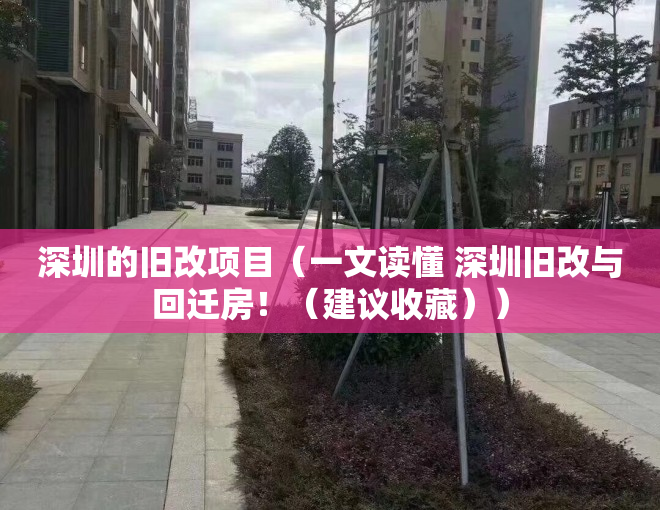 深圳的旧改项目（一文读懂 深圳旧改与回迁房！（建议收藏））