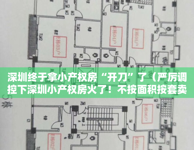 深圳终于拿小产权房“开刀”了（严厉调控下深圳小产权房火了！不按面积按套卖，涨幅大风险也大！）