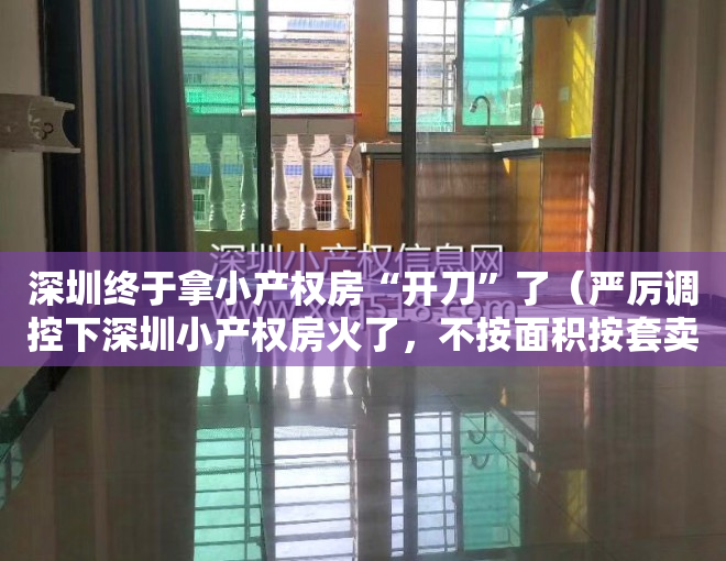 深圳终于拿小产权房“开刀”了（严厉调控下深圳小产权房火了，不按面积按套卖，涨幅大风险也大）