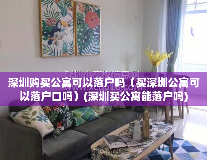 深圳购买公寓可以落户吗（买深圳公寓可以落户口吗）(深圳买公寓能落户吗)