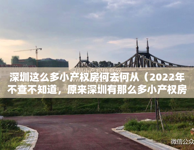 深圳这么多小产权房何去何从（2022年不查不知道，原来深圳有那么多小产权房）