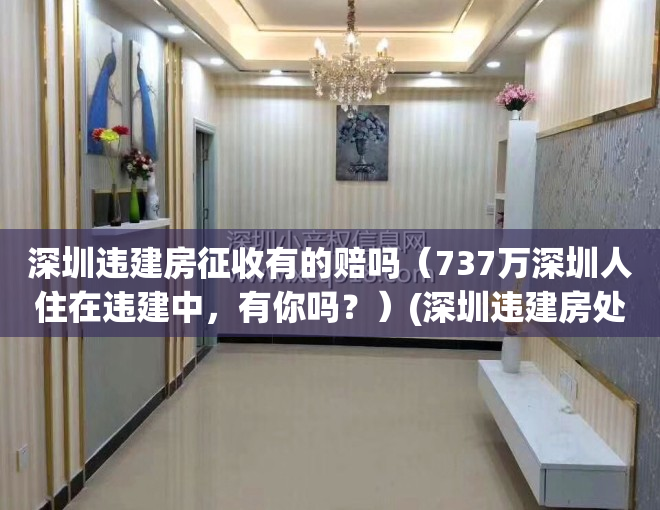 深圳违建房征收有的赔吗（737万深圳人住在违建中，有你吗？）(深圳违建房处理办法)