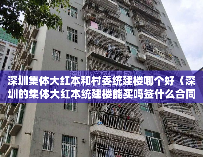 深圳集体大红本和村委统建楼哪个好（深圳的集体大红本统建楼能买吗签什么合同）