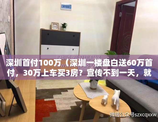 深圳首付100万（深圳一楼盘白送60万首付，30万上车买3房？宣传不到一天，就被住建局查处了……）