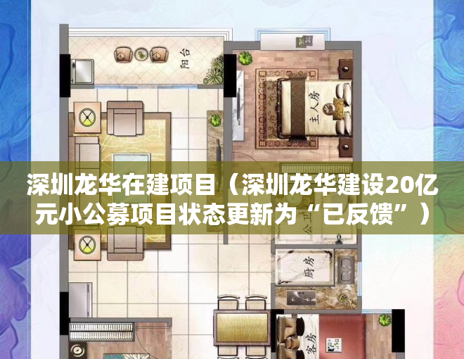 深圳龙华在建项目（深圳龙华建设20亿元小公募项目状态更新为“已反馈”）