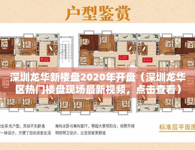 深圳龙华新楼盘2020年开盘（深圳龙华区热门楼盘现场最新视频，点击查看）