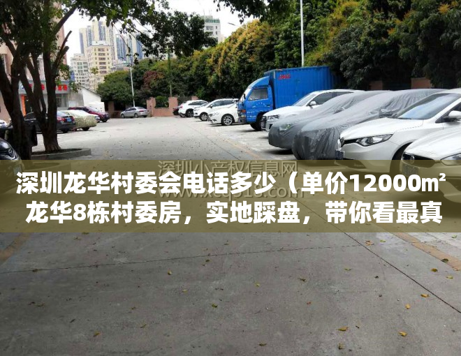 深圳龙华村委会电话多少（单价12000㎡ 龙华8栋村委房，实地踩盘，带你看最真实的村委房！）