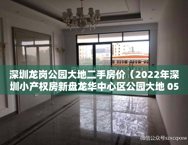 深圳龙岗公园大地二手房价（2022年深圳小产权房新盘龙华中心区公园大地 05户型）