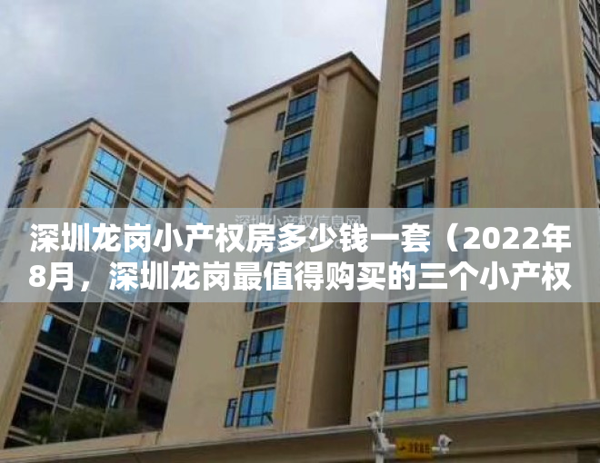 深圳龙岗小产权房多少钱一套（2022年8月，深圳龙岗最值得购买的三个小产权盘，看完再刷卡！）