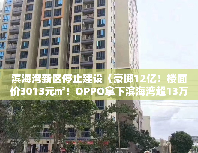 滨海湾新区停止建设（豪掷12亿！楼面价3013元㎡！OPPO拿下滨海湾超13万平商住地）