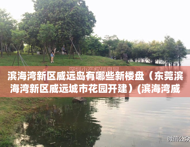 滨海湾新区威远岛有哪些新楼盘（东莞滨海湾新区威远城市花园开建）(滨海湾威远岛未来规划)