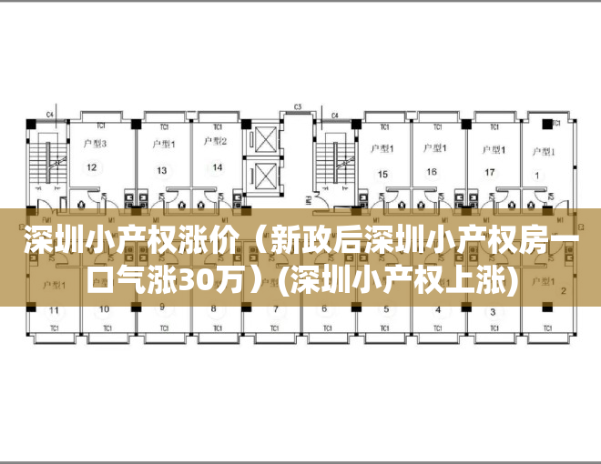 深圳小产权涨价（新政后深圳小产权房一口气涨30万）(深圳小产权上涨)