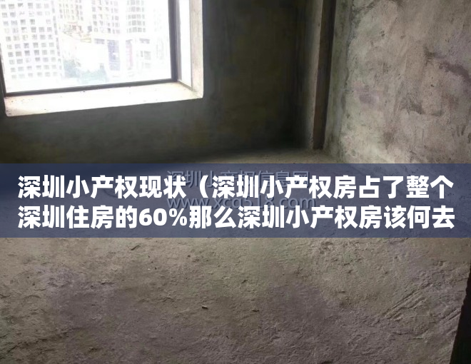 深圳小产权现状（深圳小产权房占了整个深圳住房的60%那么深圳小产权房该何去何从）