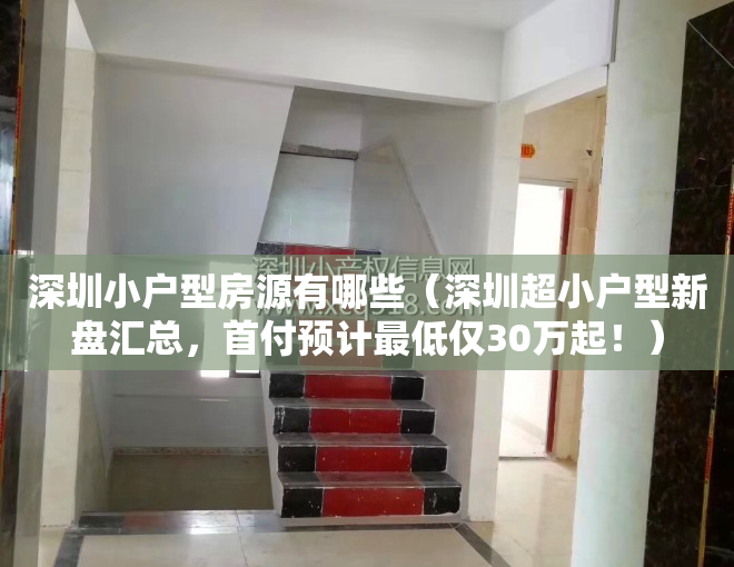 深圳小户型房源有哪些（深圳超小户型新盘汇总，首付预计最低仅30万起！）