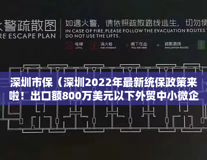 深圳市保（深圳2022年最新统保政策来啦！出口额800万美元以下外贸中小微企业适用）