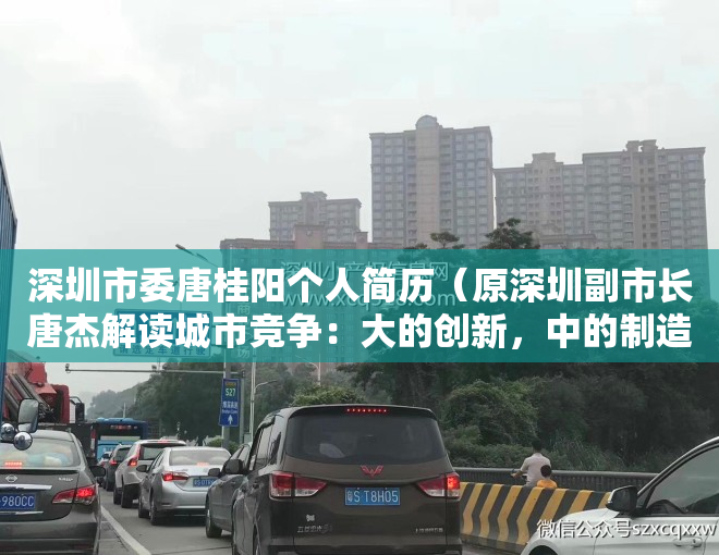 深圳市委唐桂阳个人简历（原深圳副市长唐杰解读城市竞争：大的创新，中的制造，小的宜居）