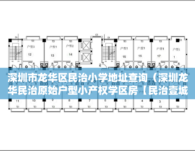 深圳市龙华区民治小学地址查询（深圳龙华民治原始户型小产权学区房【民治壹城府】大型停车场，深圳东莞最便宜性价比最高的小产权房村委统建楼集资房一手房楼盘可以买卖）