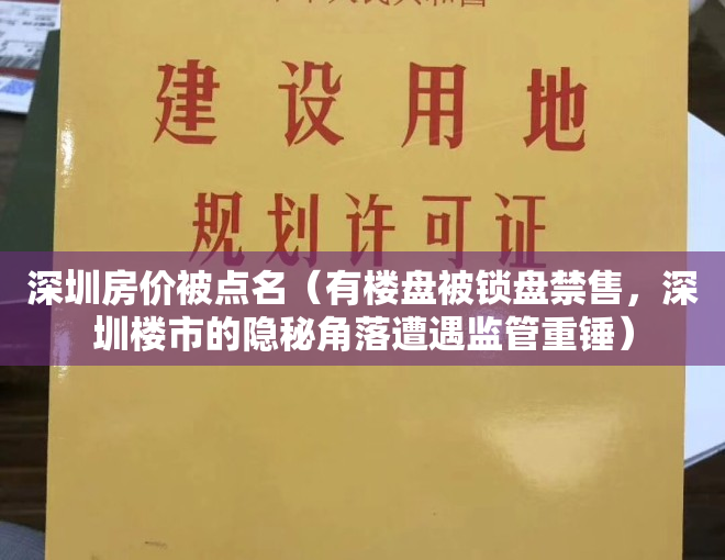 深圳房价被点名（有楼盘被锁盘禁售，深圳楼市的隐秘角落遭遇监管重锤）