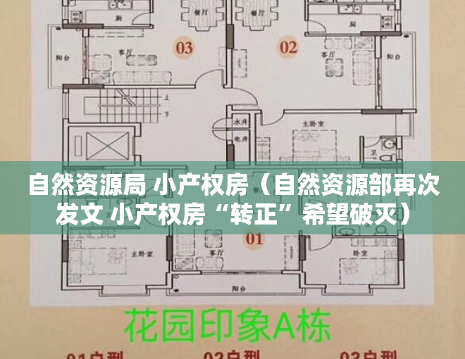 自然资源局 小产权房（自然资源部再次发文 小产权房“转正”希望破灭）