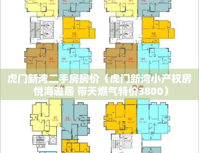 虎门新湾二手房房价（虎门新湾小产权房 悦海雅居 带天燃气特价3800）