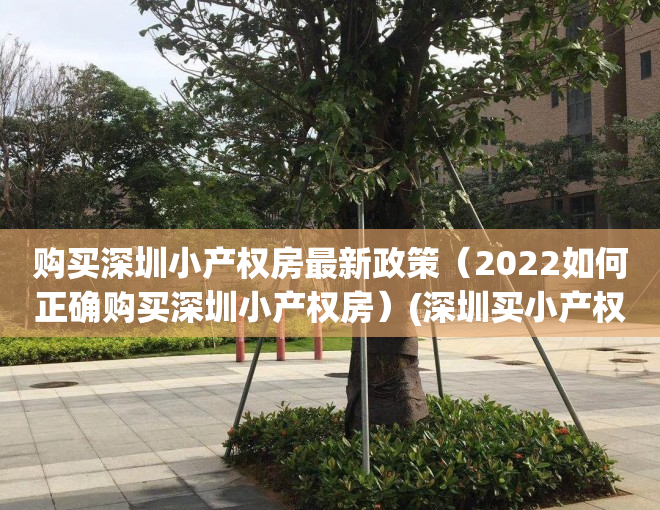 购买深圳小产权房最新政策（2022如何正确购买深圳小产权房）(深圳买小产权房注意事项和手续)