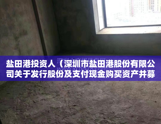 盐田港投资人（深圳市盐田港股份有限公司关于发行股份及支付现金购买资产并募集配套资金暨关联交易事项的进展公告）