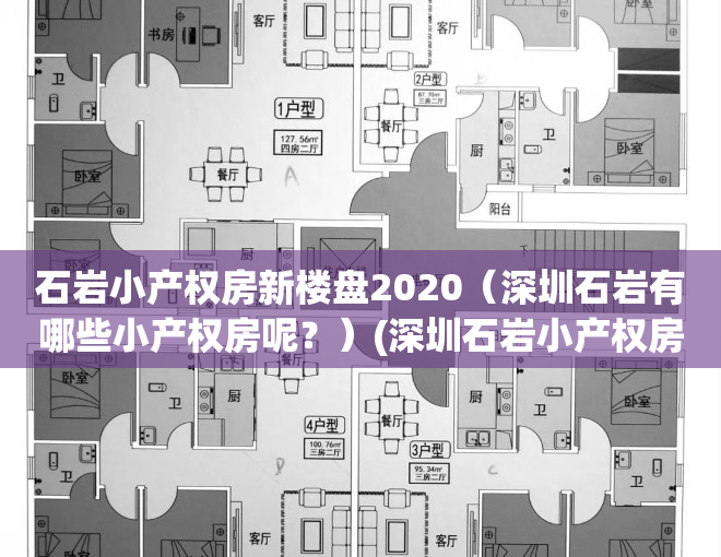 石岩小产权房新楼盘2020（深圳石岩有哪些小产权房呢？）(深圳石岩小产权房价)