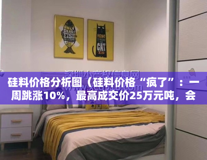 硅料价格分析图（硅料价格“疯了”：一周跳涨10%，最高成交价25万元吨，会是短期波动吗？）