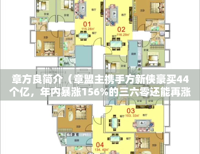 章方良简介（章盟主携手方新侠豪买44个亿，年内暴涨156%的三六零还能再涨吗？）