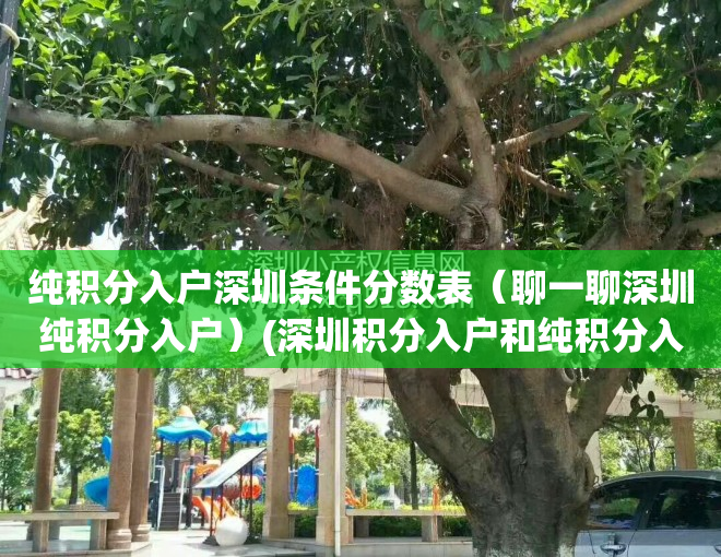 纯积分入户深圳条件分数表（聊一聊深圳纯积分入户）(深圳积分入户和纯积分入户的区别)