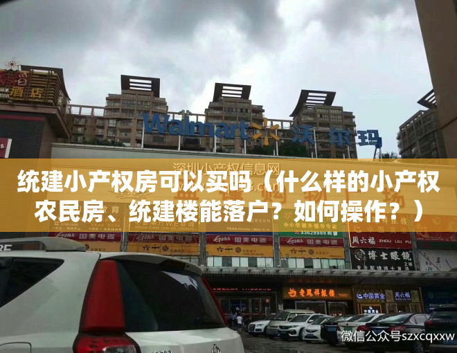 统建小产权房可以买吗（什么样的小产权农民房、统建楼能落户？如何操作？）