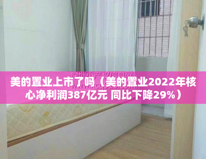 美的置业上市了吗（美的置业2022年核心净利润387亿元 同比下降29%）