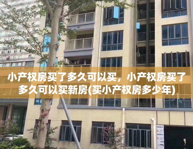 小产权房买了多久可以买，小产权房买了多久可以买新房(买小产权房多少年)