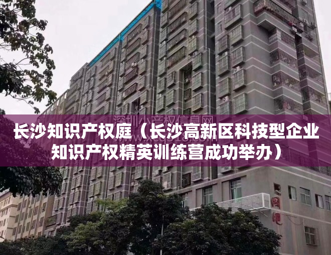 长沙知识产权庭（长沙高新区科技型企业知识产权精英训练营成功举办）