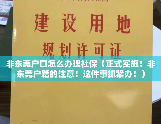 非东莞户口怎么办理社保（正式实施！非东莞户籍的注意！这件事抓紧办！）