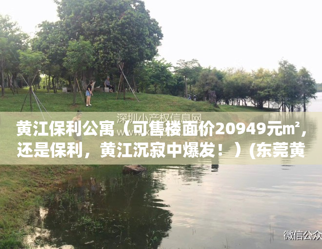 黄江保利公寓（可售楼面价20949元㎡，还是保利，黄江沉寂中爆发！）(东莞黄江保利地产开发的楼盘)