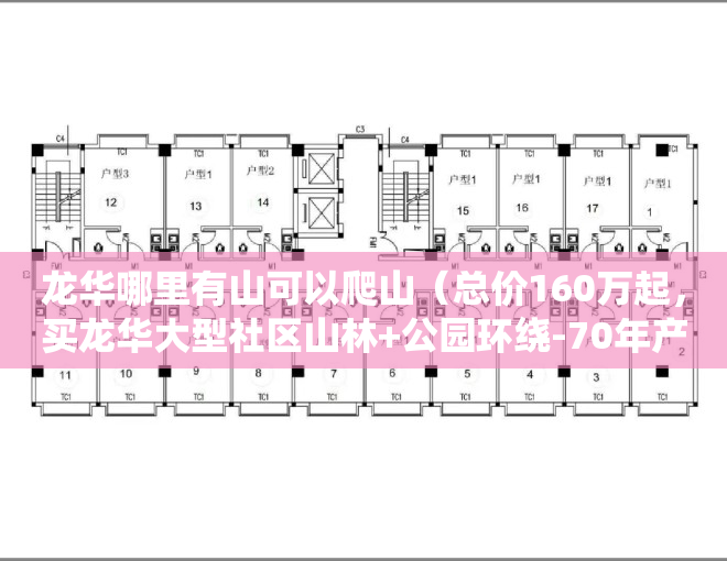 龙华哪里有山可以爬山（总价160万起，买龙华大型社区山林+公园环绕-70年产权）