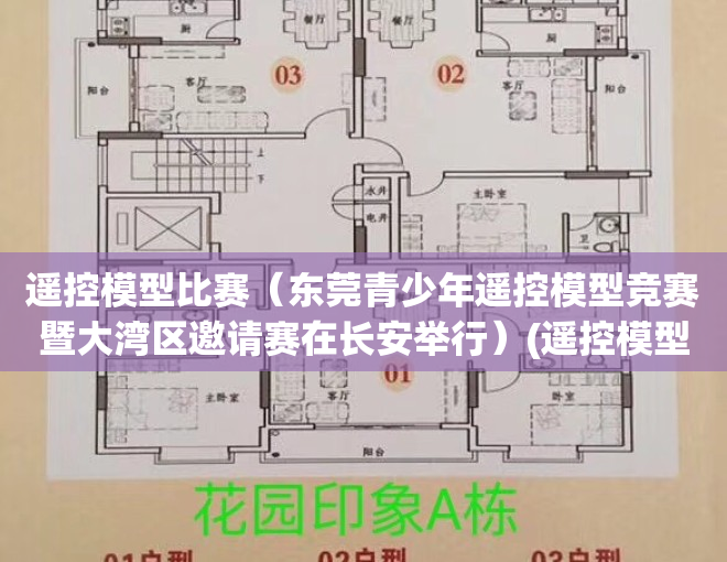 遥控模型比赛（东莞青少年遥控模型竞赛暨大湾区邀请赛在长安举行）(遥控模型俱乐部)