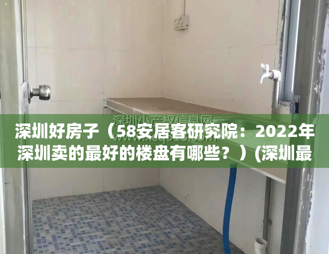 深圳好房子（58安居客研究院：2022年深圳卖的最好的楼盘有哪些？）(深圳最好的房子好多钱一平)