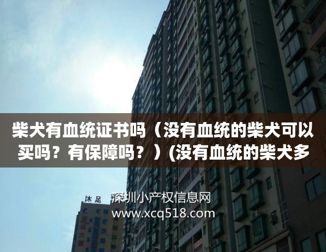 柴犬有血统证书吗（没有血统的柴犬可以买吗？有保障吗？）(没有血统的柴犬多少钱)