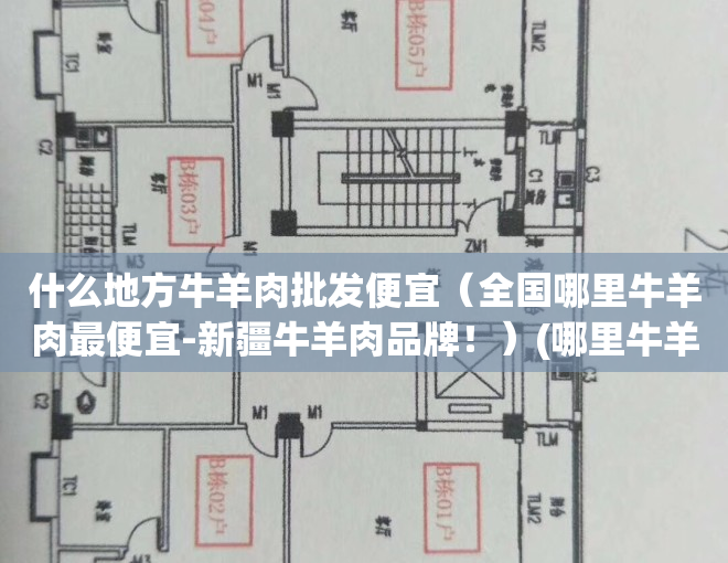 什么地方牛羊肉批发便宜（全国哪里牛羊肉最便宜-新疆牛羊肉品牌！）(哪里牛羊肉价格最低)